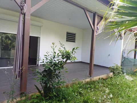 photo no. 8