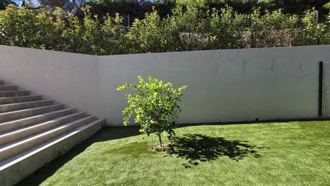 photo no. 11