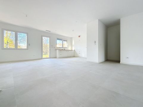 photo no. 11