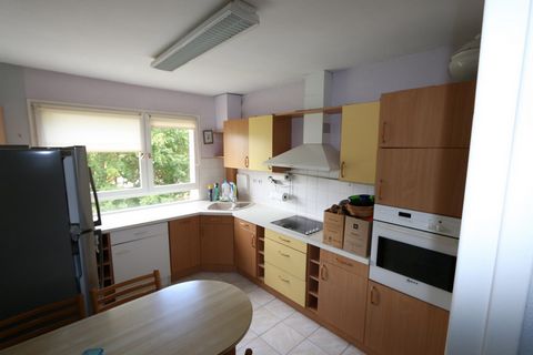 photo no. 2