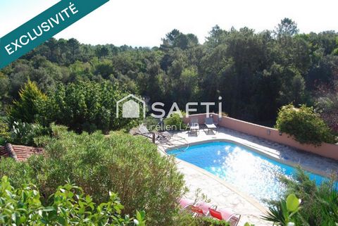 photo no. 11