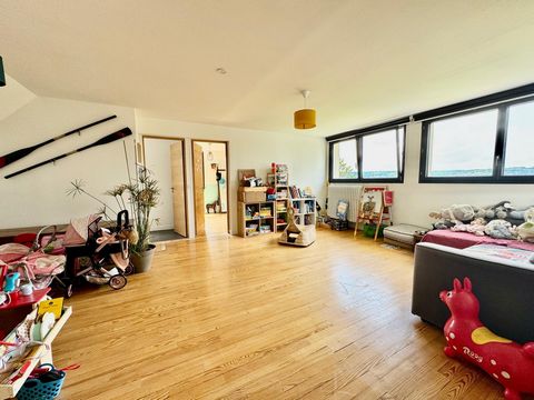 photo no. 13