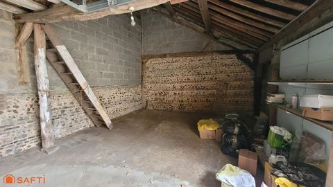 photo no. 6
