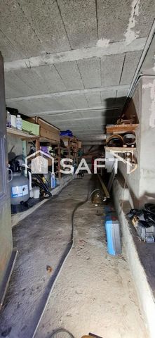 photo no. 11