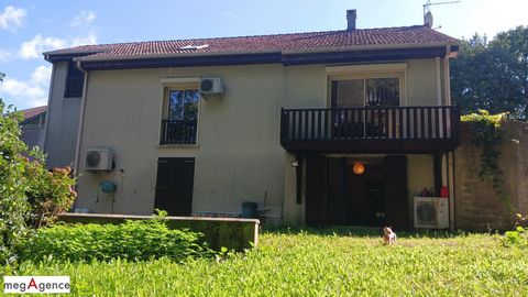 photo no. 12