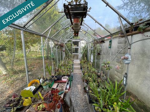La maison aux cactus