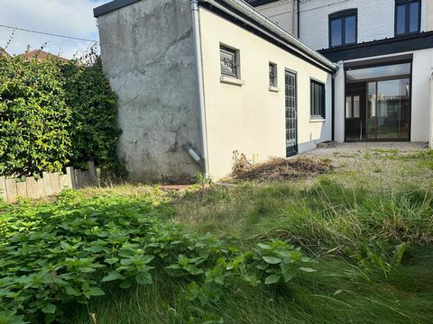 photo no. 9