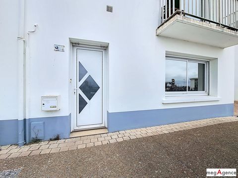 photo no. 11