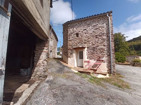 photo no. 9