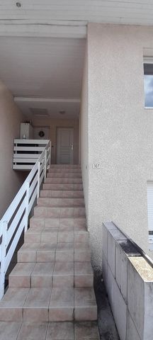 photo no. 9