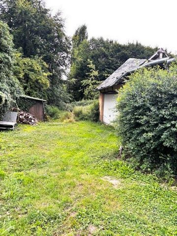 photo no. 11