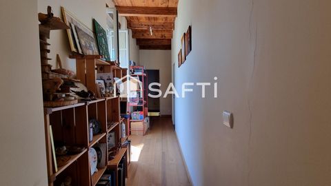 photo no. 14