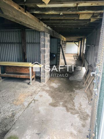 photo no. 6