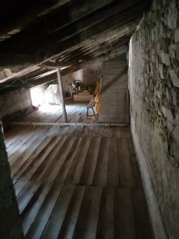 photo no. 11