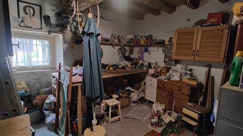 photo no. 13