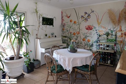 photo no. 8