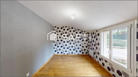 photo no. 10
