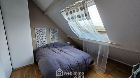 photo no. 11
