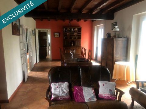 photo no. 11
