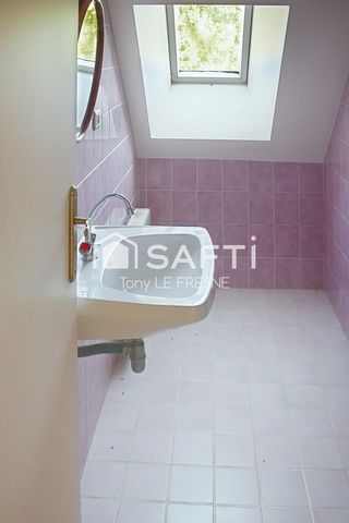 photo no. 6