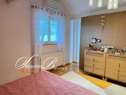 photo no. 12