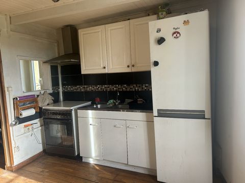 photo no. 12