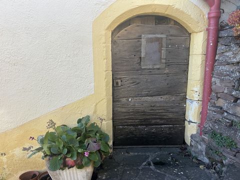 photo no. 19