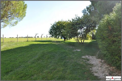 photo no. 13