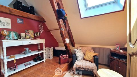 photo no. 17