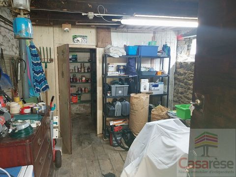 photo no. 9