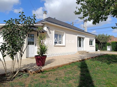 photo no. 10