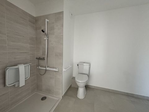 photo no. 2
