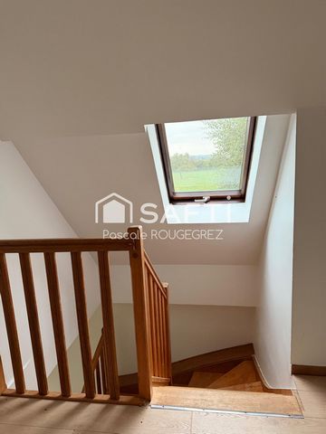 photo no. 7