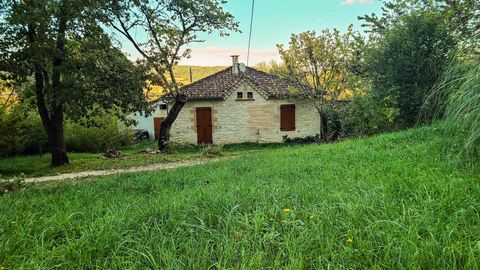photo no. 16