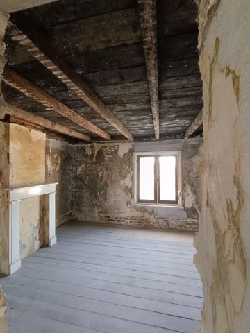 photo no. 6