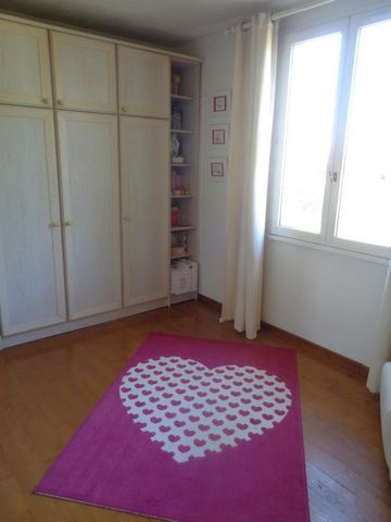 photo no. 6