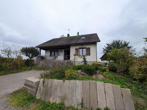 photo no. 12
