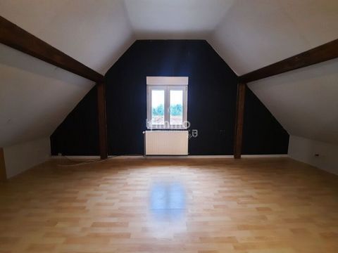 photo no. 6