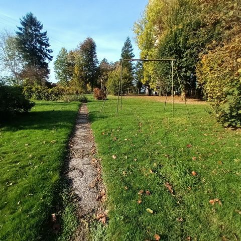 photo no. 10