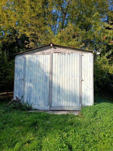 photo no. 8