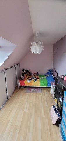 photo no. 7