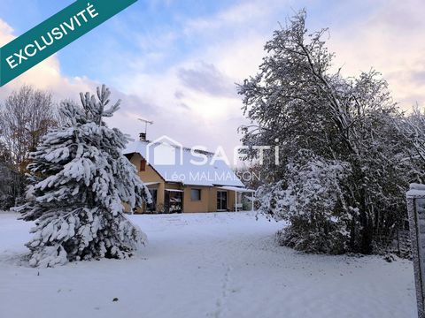 photo no. 11