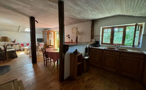 photo no. 12
