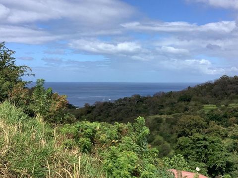 Ensemble de parcelles viabilisées avec vue mer