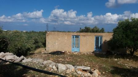 Sitias Maison avec jardin dans un village à 7 km de Sitia. La propriété a besoin de modernisation. Il fait 50m2 et peut être transformé en un salon décloisonné avec cuisine, une chambre et une salle de bain. Le jardin fait 1.100m2 et compte 32 olivie...