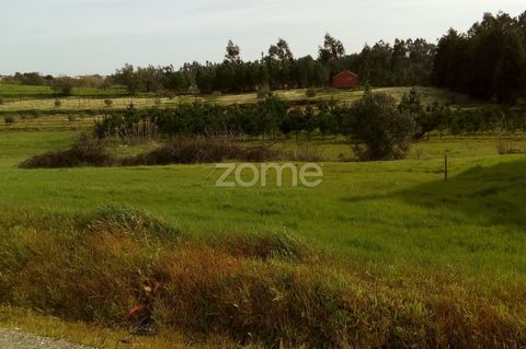 Property ID: ZMPT538760 This plot of land has approved construction following the allotment. Quiet area of the countryside, with good accessibility to Figueira da Foz, Pombal and Coimbra. Its location has the privilege of being 5 minutes away from ho...