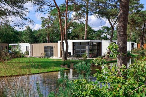 Cette luxueuse « villa de plage » est généralement située directement en bordure du magnifique lac naturel dans le grand parc de vacances Resort De Zanding. Le parc est entouré de magnifiques réserves naturelles, dont le parc national De Hoge Veluwe,...