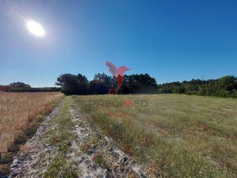 Rustic land of 14280m2 situated in the Windward - Aljezur region, an area in full development. The land is currently full of pine and eucalyptus trees. Geometric-rectangular shape The land has good sand for construction. Contact me for more informati...