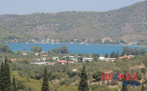 A vendre à Poros - Galatas Troizinias maison individuelle de 198m², de 2006, avec une vue incroyable sur Poros et la mer même à travers la maison. Il est construit sur un terrain de 9750m² avec 200 racines d’oliviers et de nombreux arbres fruitiers. ...