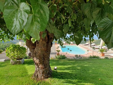 Poggio San Nicola is an agriturismo nestled in the countryside of the Cilento National Park, just minutes from the sea of the Gulf of Policastro. Poggio San Nicola is about two hours' drive from the international airport of Naples. The farmhouse is l...